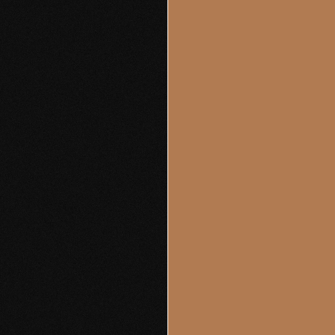 Kit com Duas Calcinhas Fio Dental - K5650