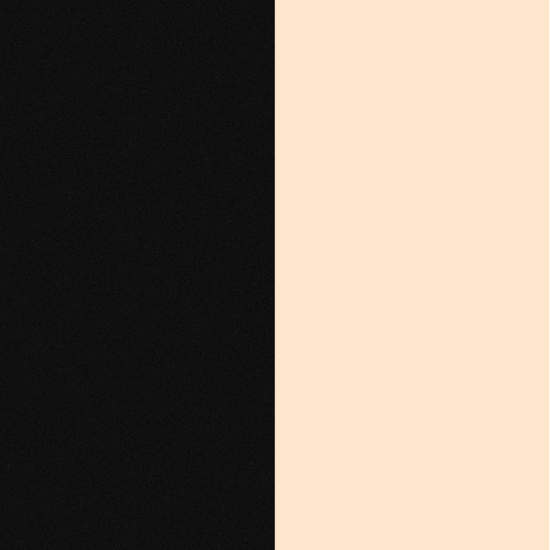 Kit com Duas Calcinhas Fio Dental - K5650